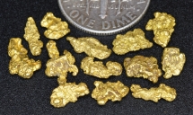 3.75 Grams (13) Alaska Gold Nuggets